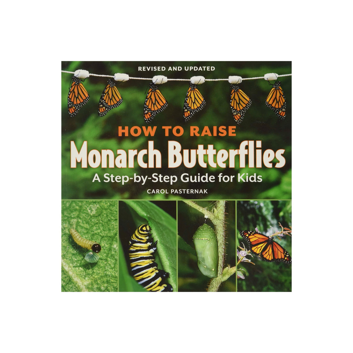 How to Raise Monarch Butterflies: A Step-By-Step Guide for Kids