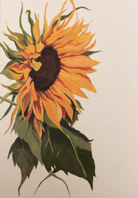 Grace Patrick Greeting Cards