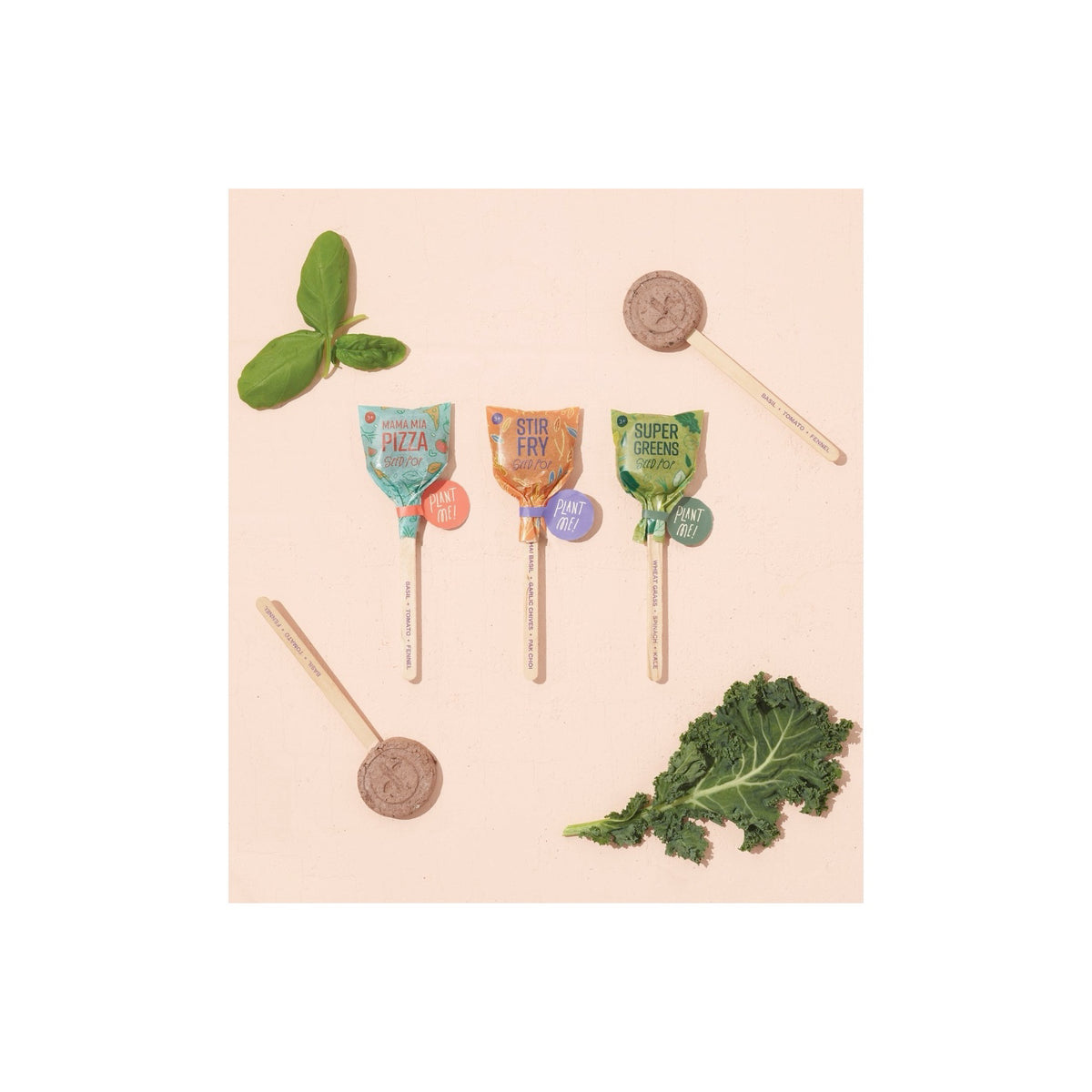 Modern Sprout- Culinary Seed Lollipops