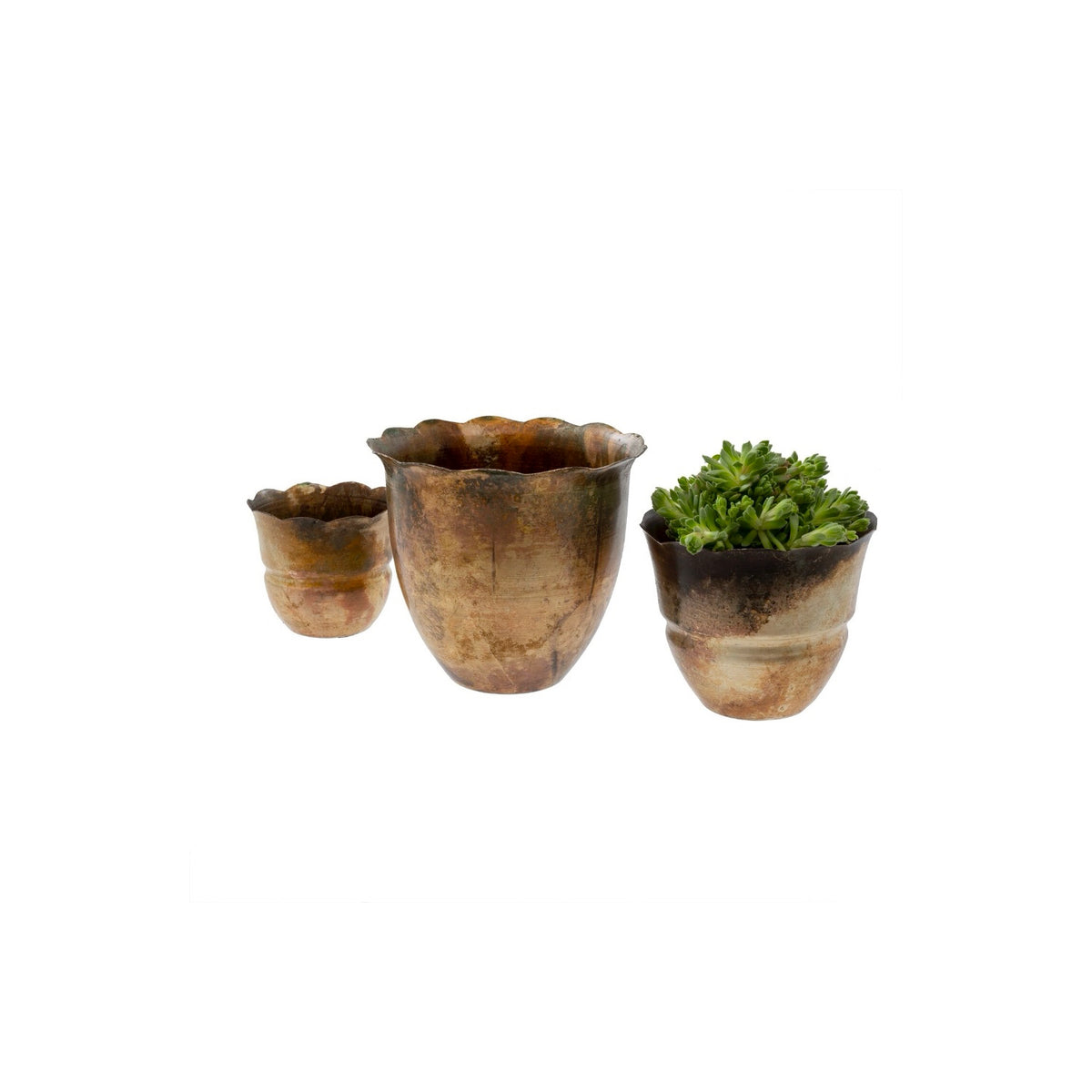 Iron Petal Pots