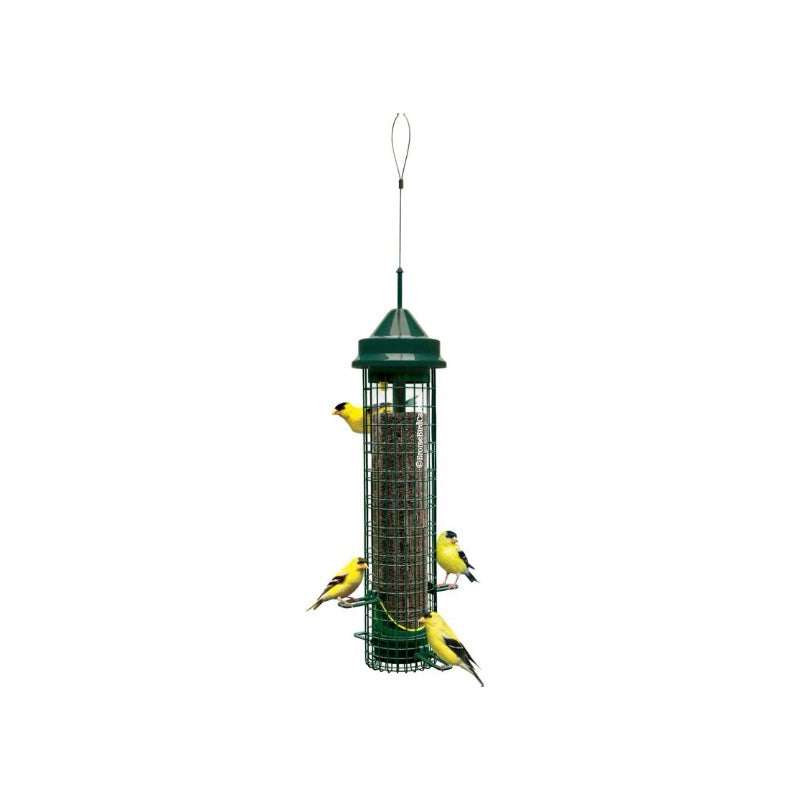 SquirrelBuster - Finch