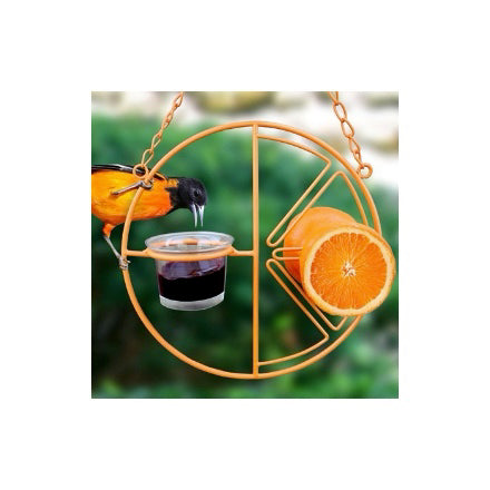 Clementine Oriole Feeder