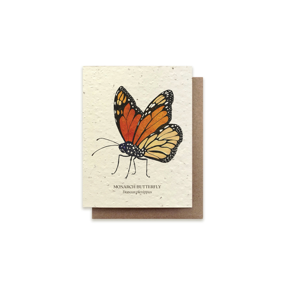 The Bower Studio Plantable Monarch Butterfly Card