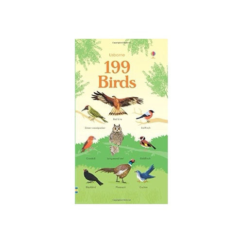 Usborne 199 Birds