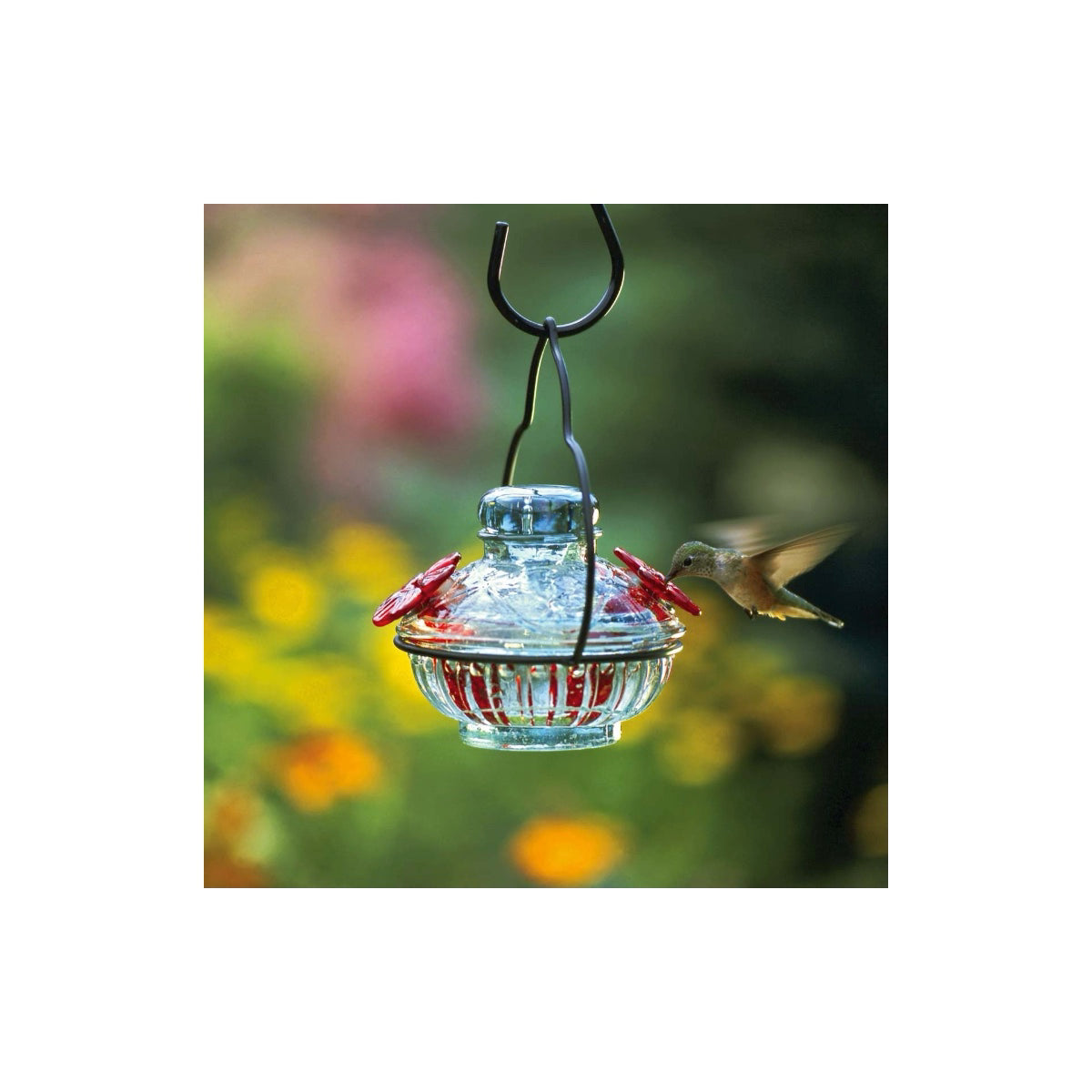 Parasol Pot de Creme Dual Hummingbird Feeder- Clear