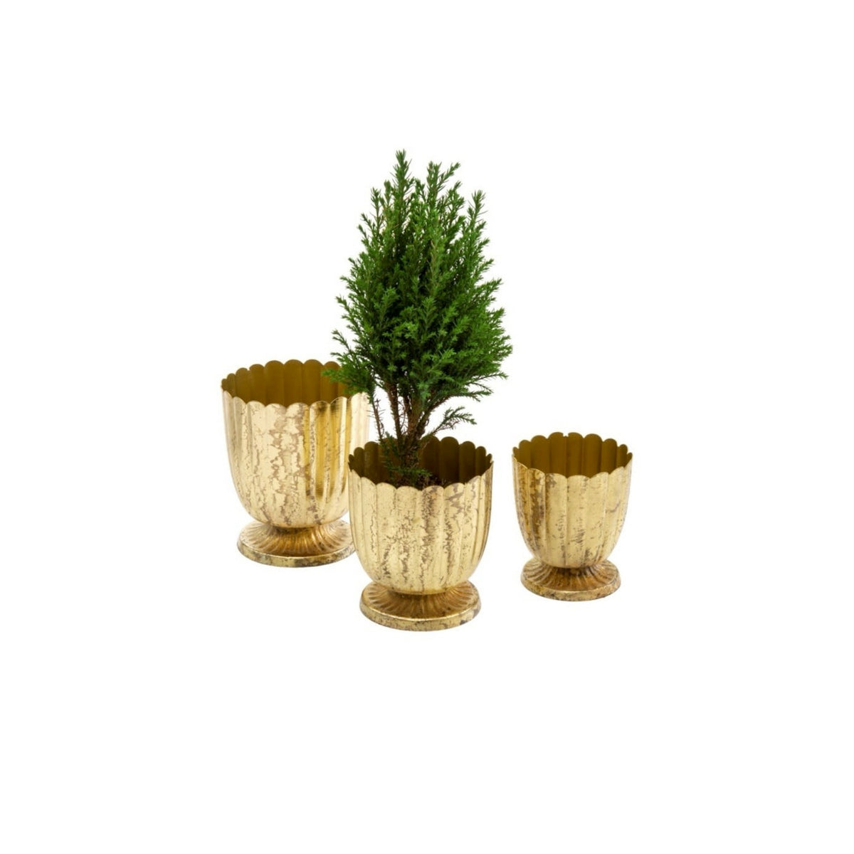 Floralis Gold Metal Mini Urns