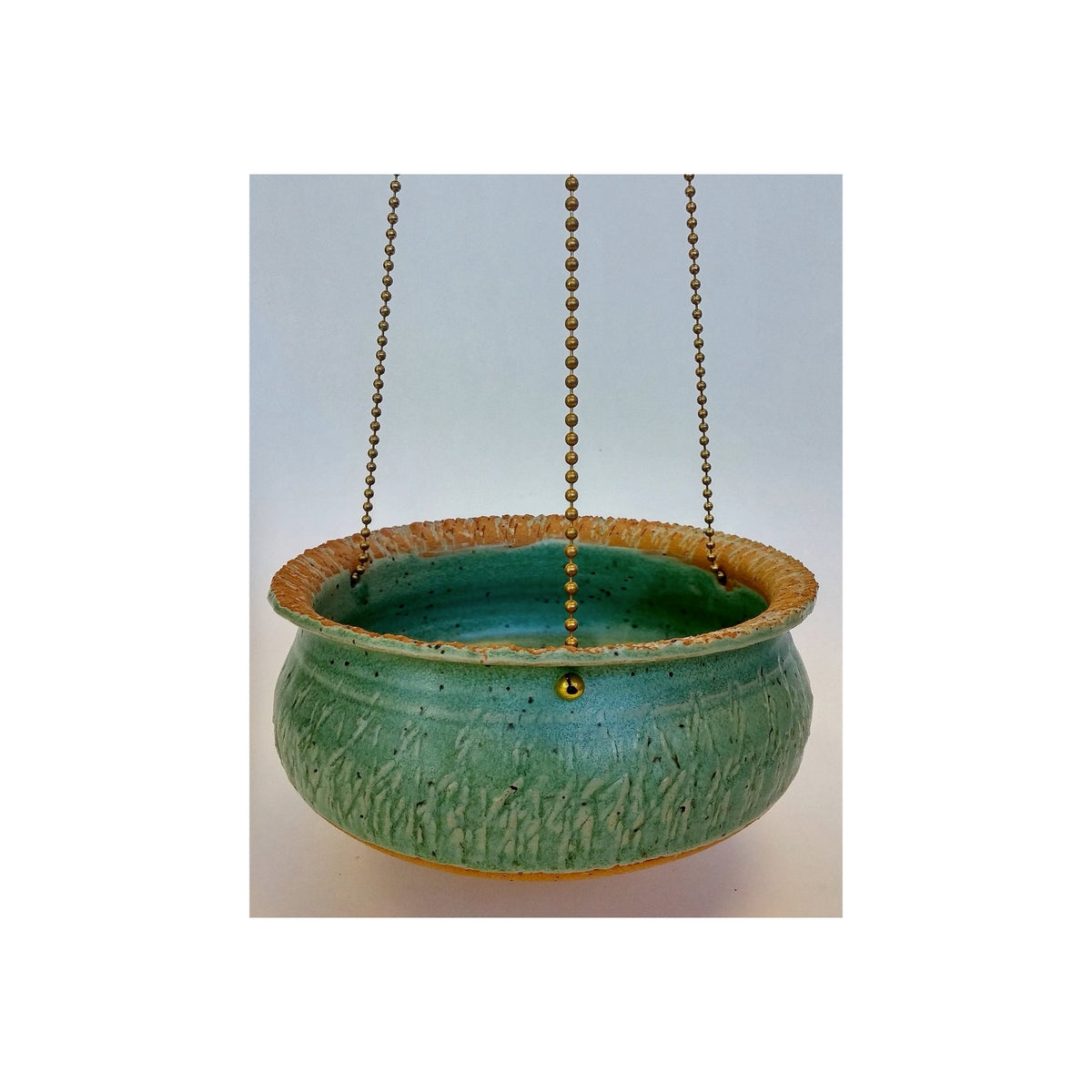 Bluebird Cafe Feeder