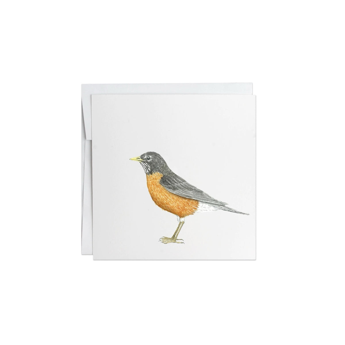 Potting Shed Creation- Robin Note Card