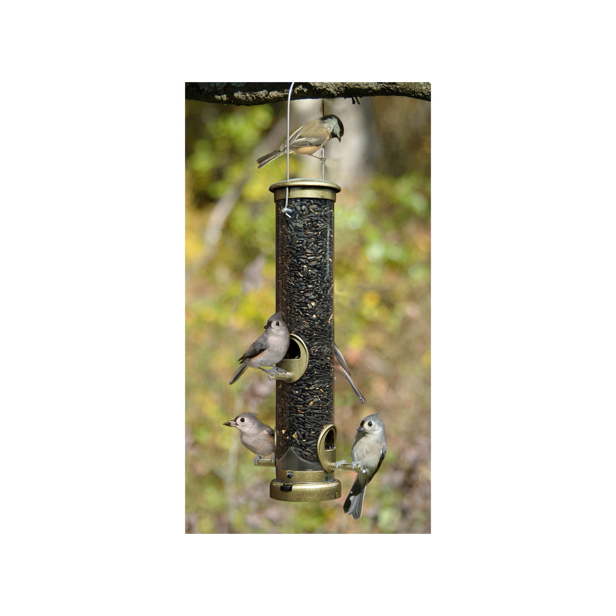 Medium Brass Seed Tube