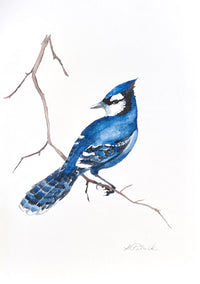 Grace Patrick Greeting Cards- Portrait Length