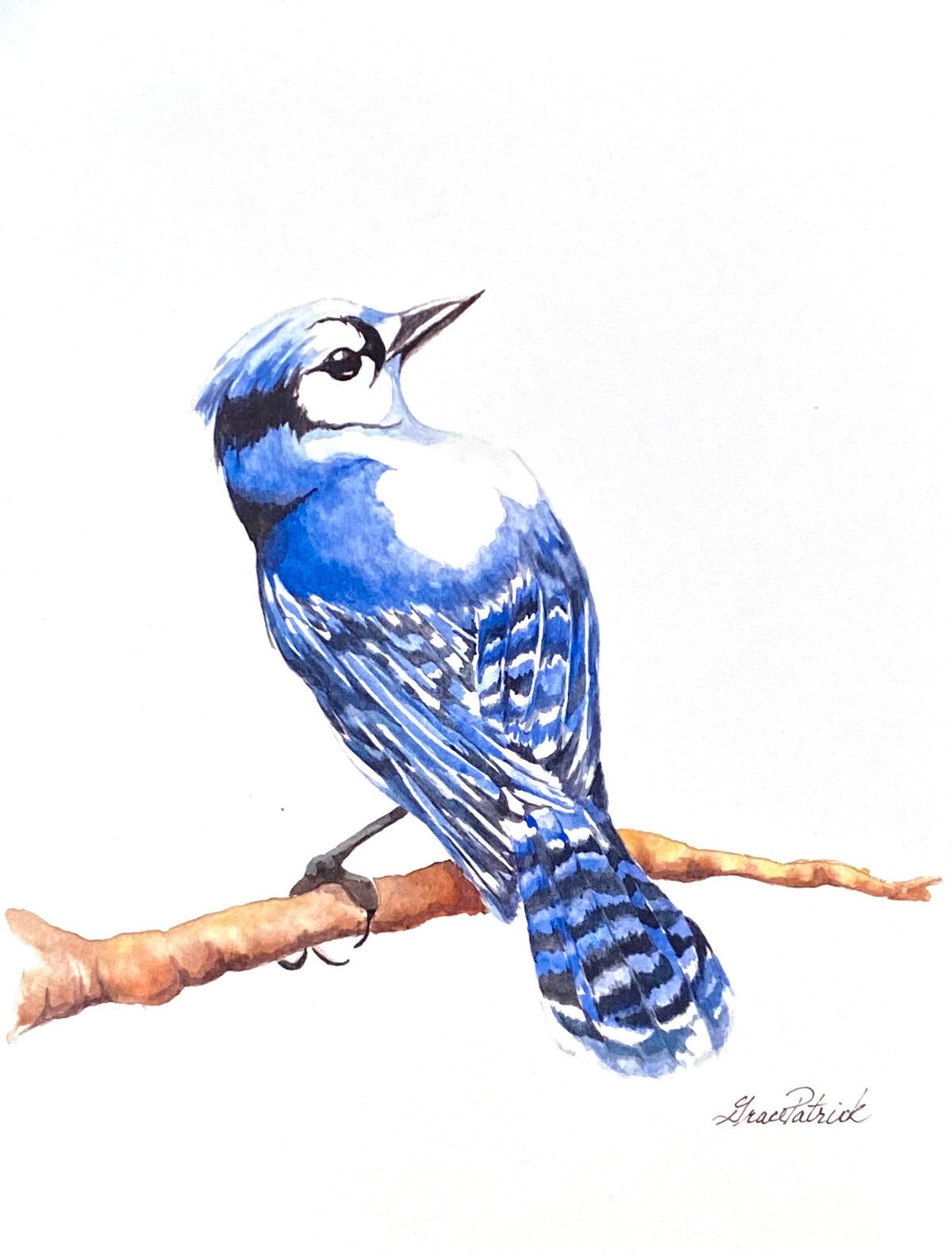 Grace Patrick Greeting Cards- Portrait Length