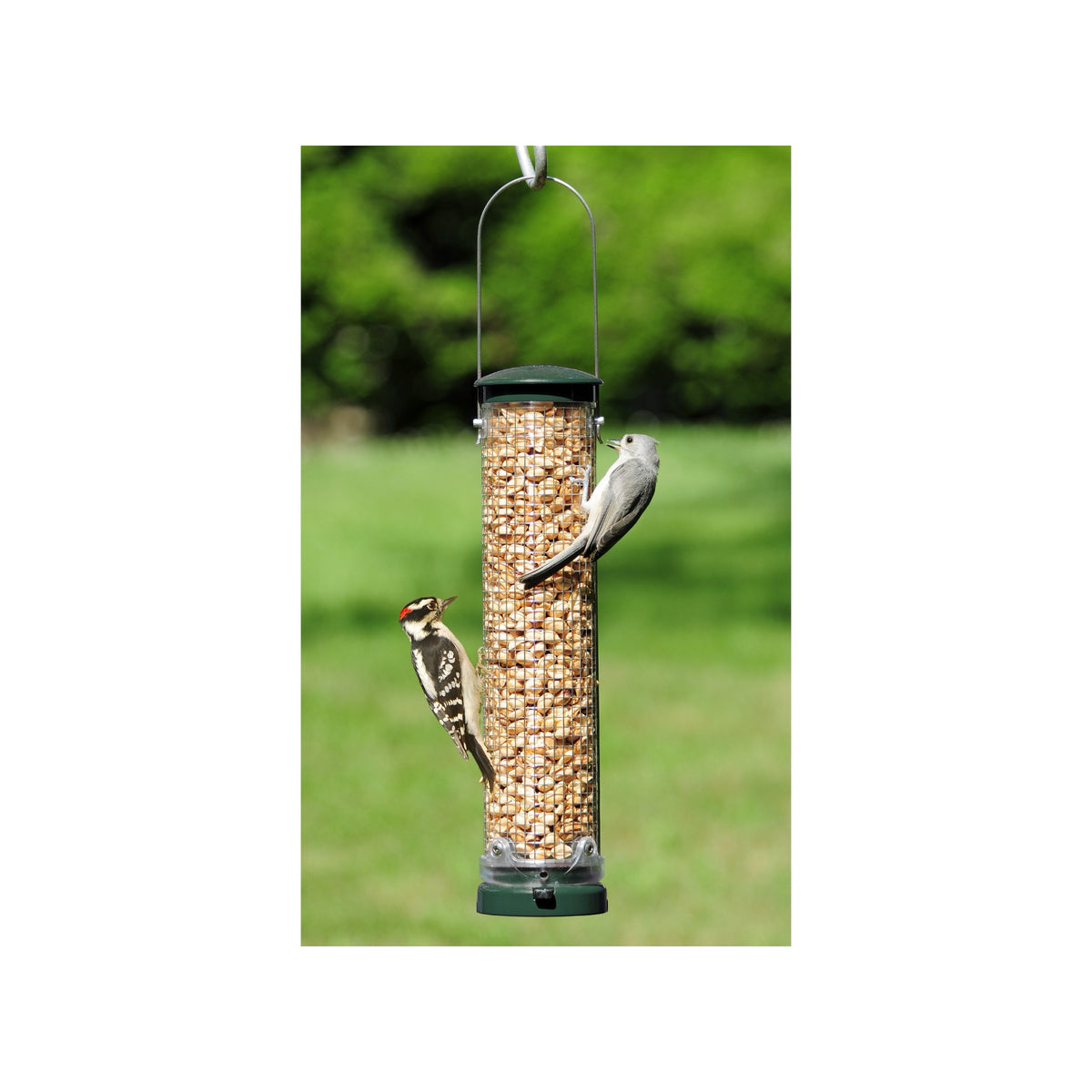 Quick Clean Medium Spruce Peanut Mesh Feeder