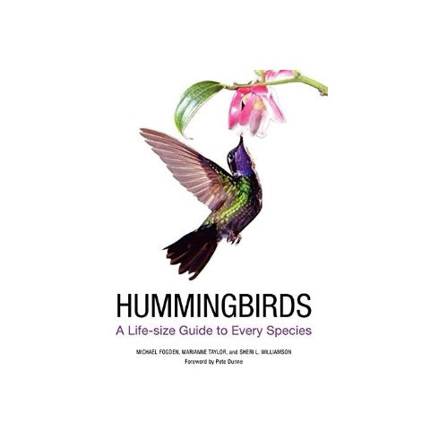 Hummingbirds: A Life Sized Guide to Every Species