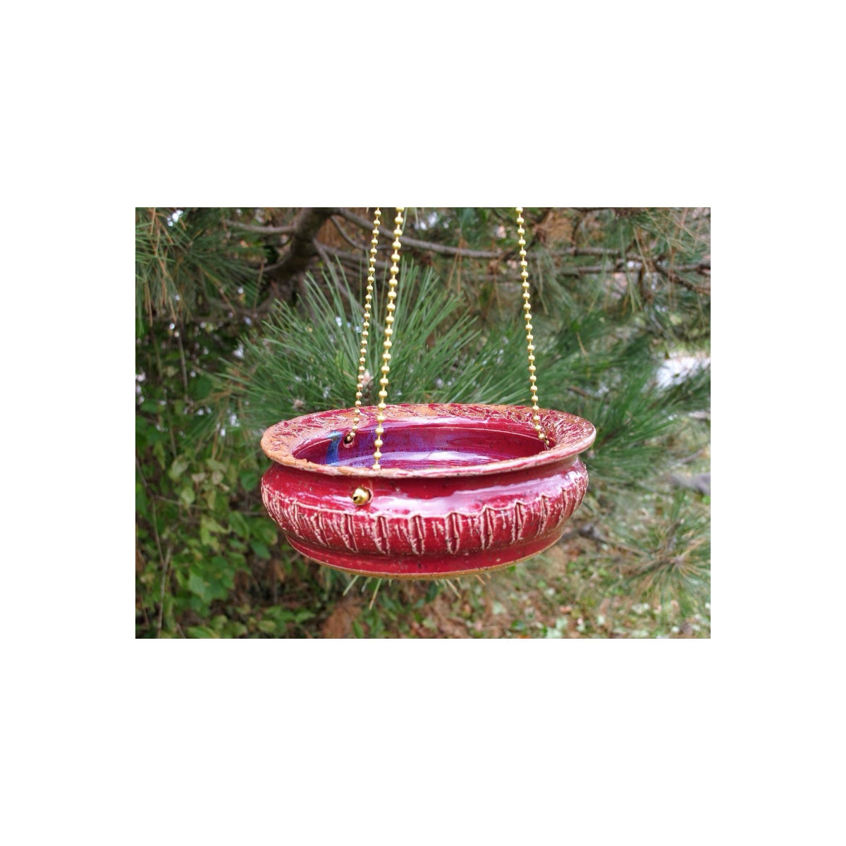 Bluebird Cafe Feeder