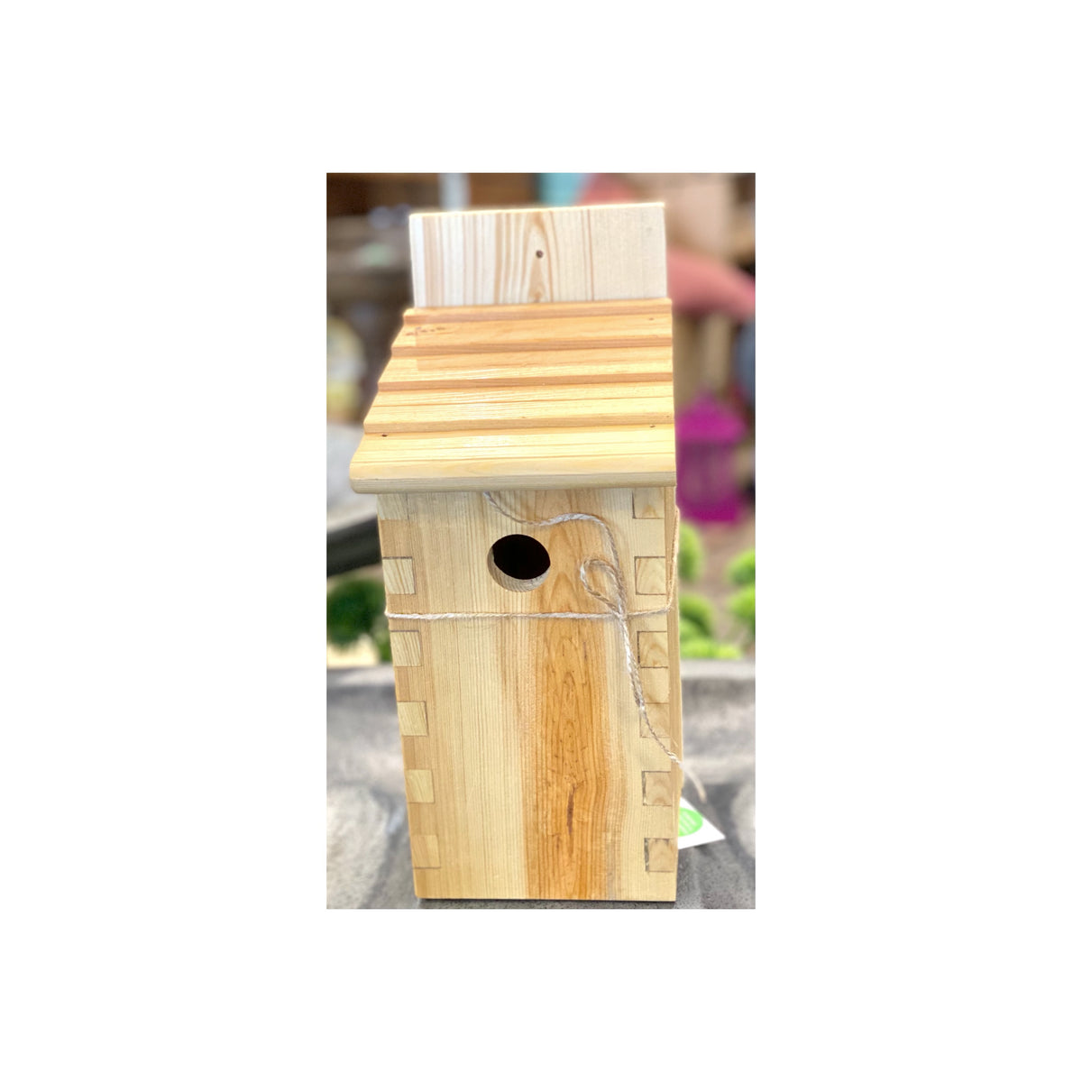 Nathan Cole- Box Joint Bird House