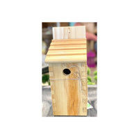 Nathan Cole- Box Joint Bird House