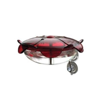 Droll Yankee Ruby Sipper Window Hummingbird Feeder