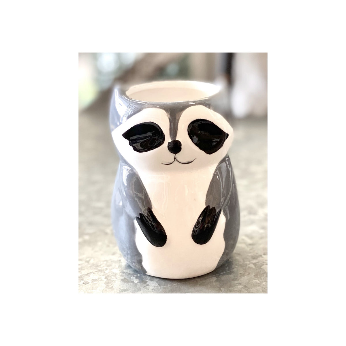 Small Ceramic Raccoon Pot