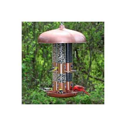 Perky pet triple tube bird sale feeder