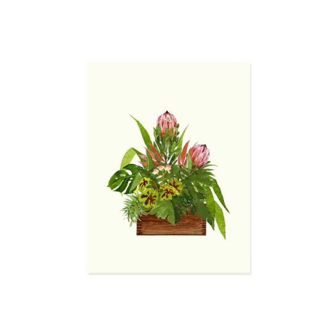 Felix Doolittle Occasion Card- Protea Arrangement