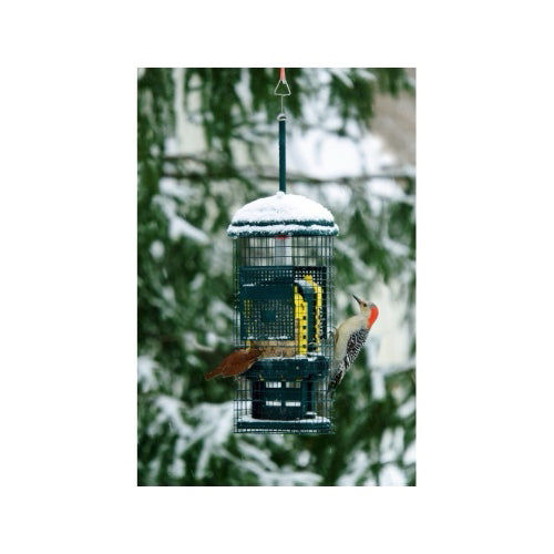 SquirrelBuster - Suet