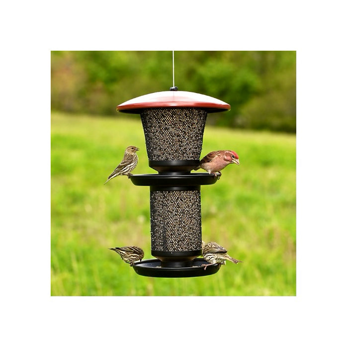 Perky-Pet Multi-Seed Wild Bird Feeder