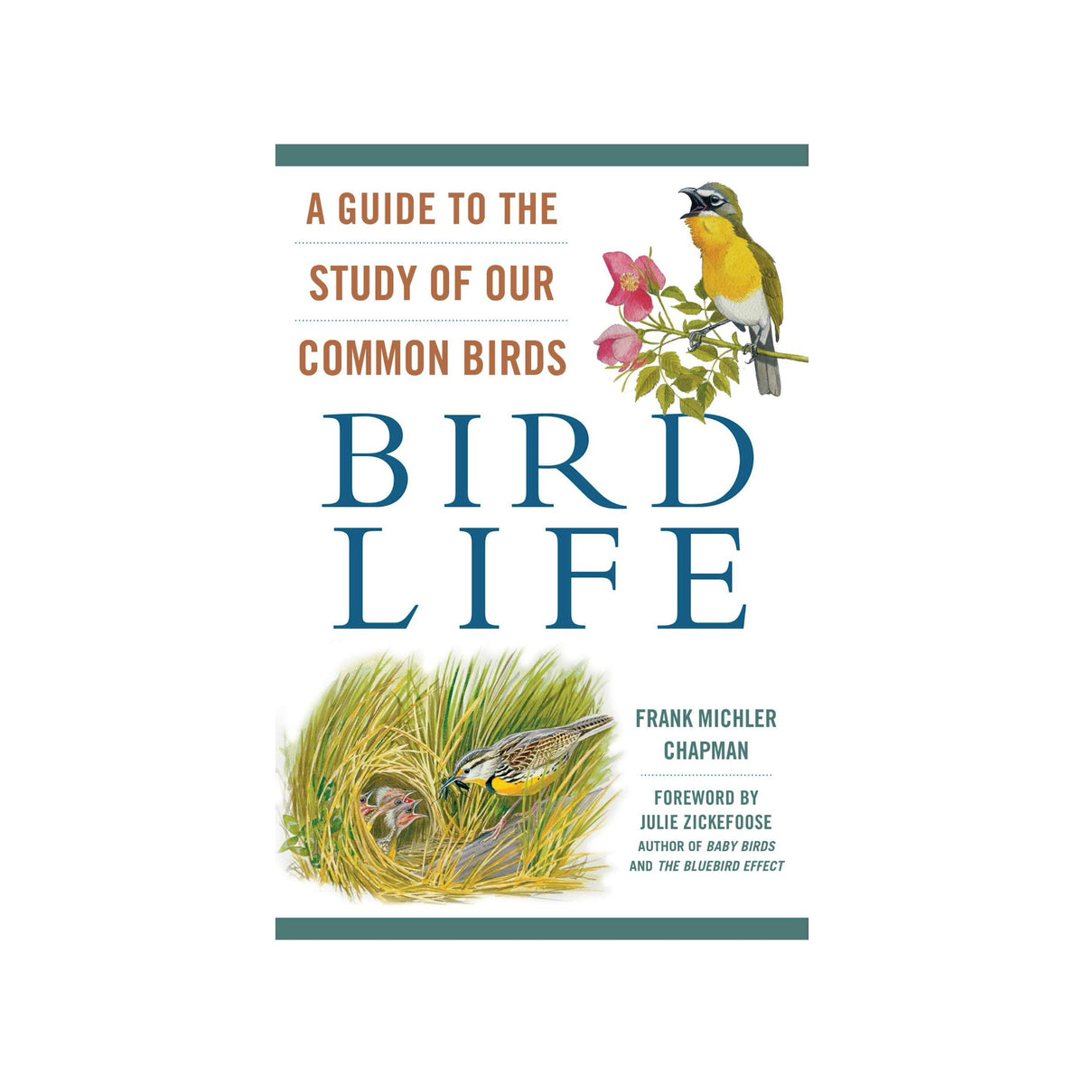 A Guide To The Study Of Our Birds: Bird Life