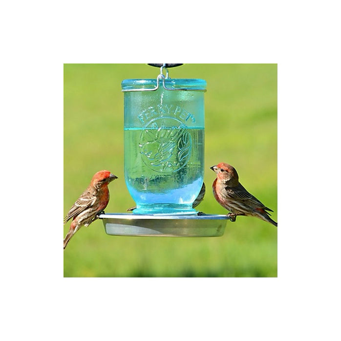 Blue Antique Mason Jar Bird Waterer
