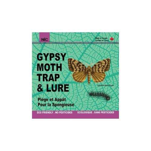 Gypsy Moth Trap & Lure