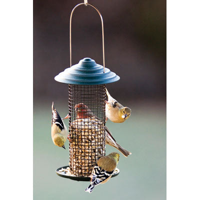 Woodlink Mini Magnum Sunflower & Peanut Feeder