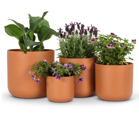 Terracotta Planter Pots