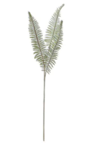 Fake Boston Fern Stem