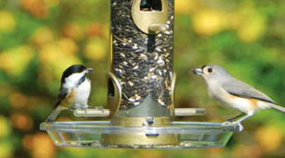 Aspects Round Seed Tray