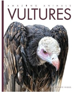 Amazing Animals: Vultures Book