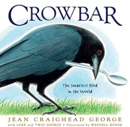 Crowbar: The Smartest Bird in the World Book