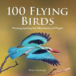 100 Flying Birds Book