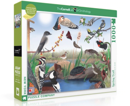 Spring Trail Puzzle