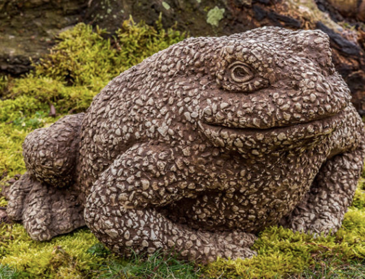Campania Concrete Forest Toad
