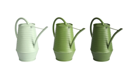 Green Indoor Watering Can