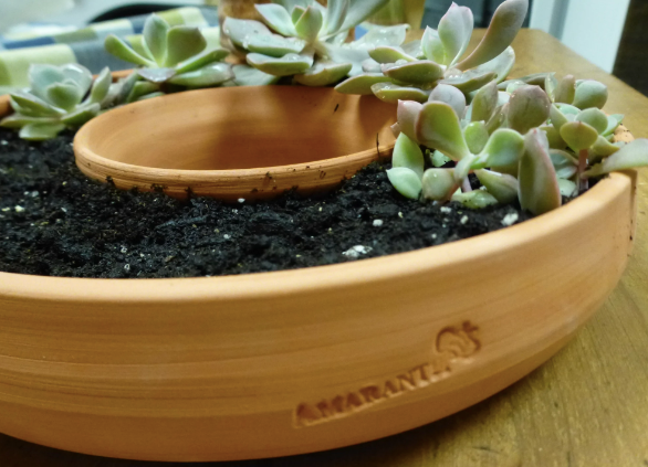 Living Wreath Succulent Planter