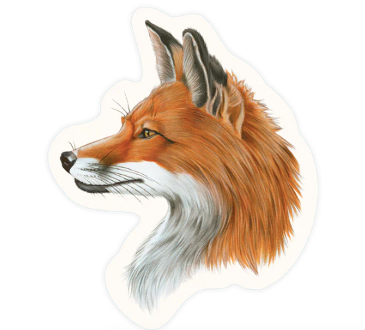 Fox Sticker – Featherfields