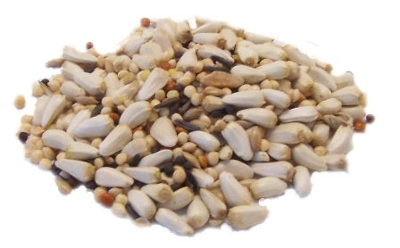 Squirrel Free Seed Blend
