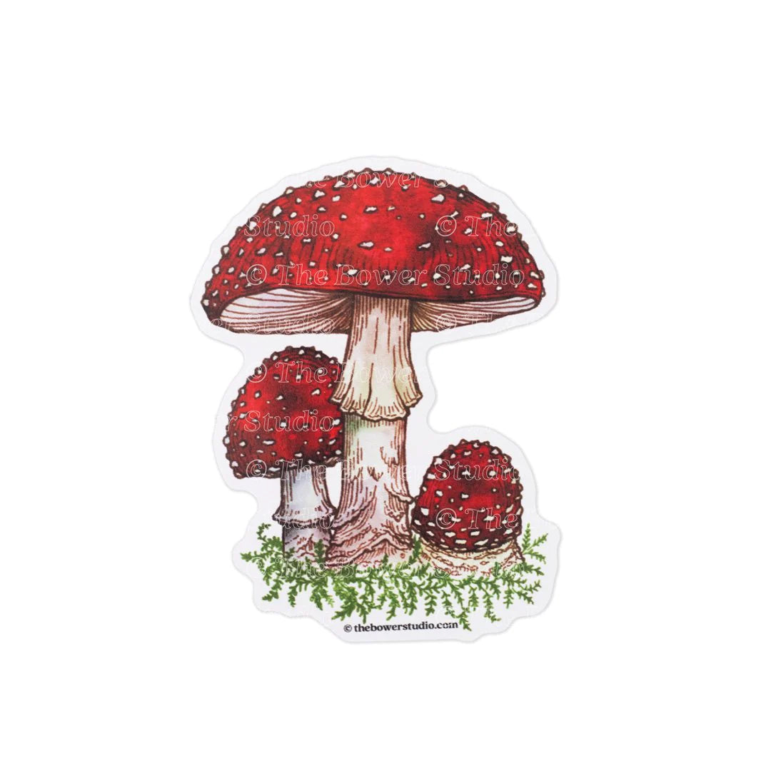 Eco-Sticker: Fly Agaric Mushroom