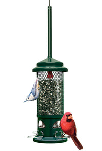 SquirrelBuster - Standard