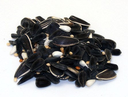 Town & Country Seed Blend