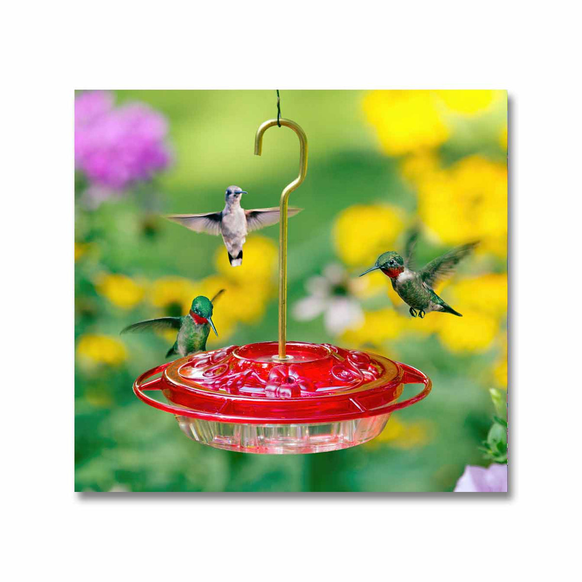 Little Fancy Hummingbird Feeder