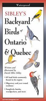 Sibley's Backyard Birds of Ontario & Quebec