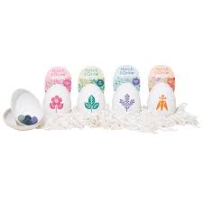 Hatch and Grow Seed Ball Kit
