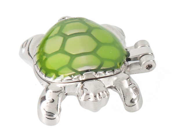Lucky Little Turtle Wish Box Charm