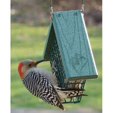Woodlink Going Green Suet Feeder